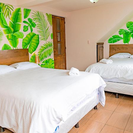 Hotel Ariana ซานเปโดร ลาลากูนา ภายนอก รูปภาพ