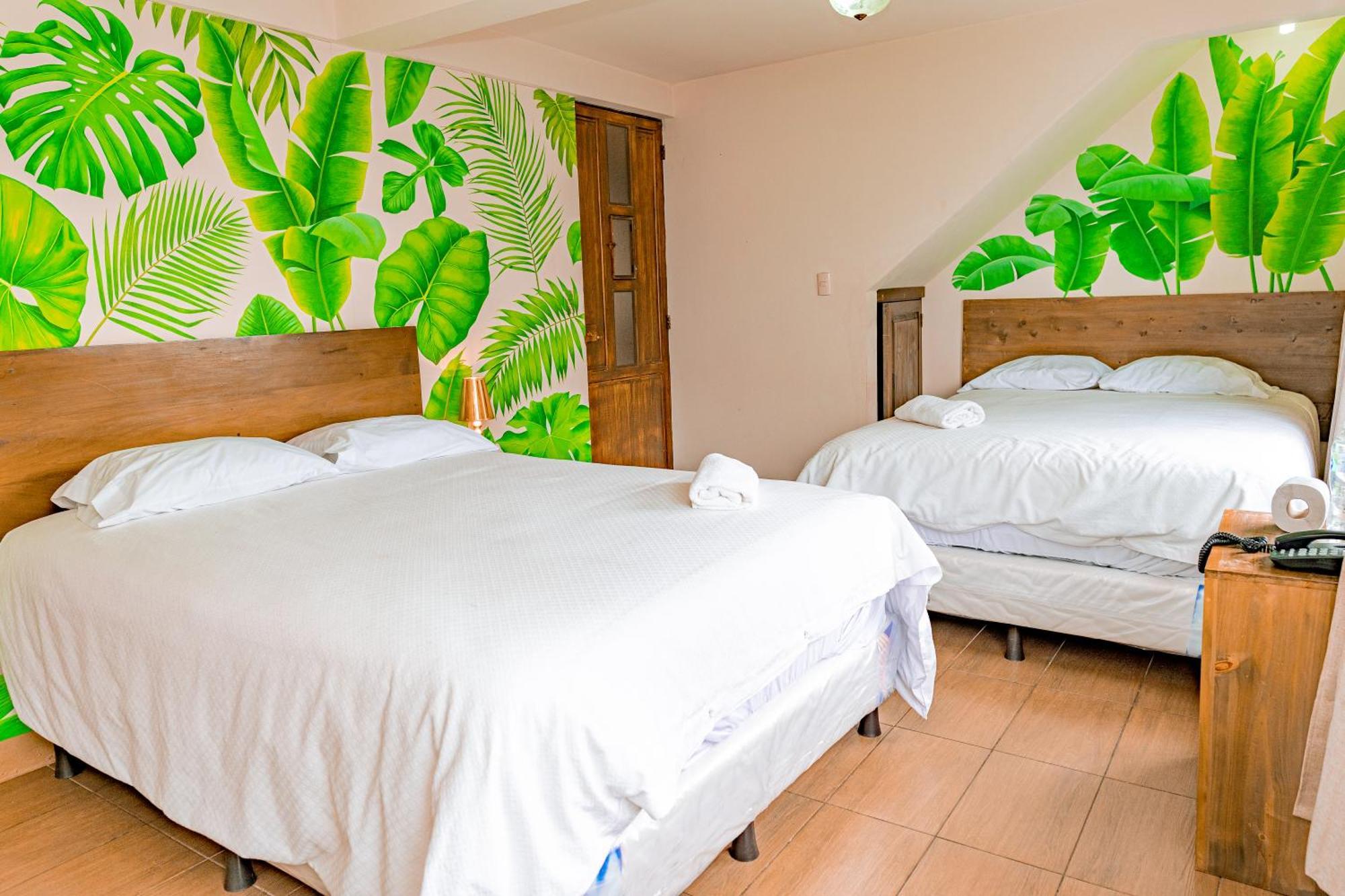 Hotel Ariana ซานเปโดร ลาลากูนา ภายนอก รูปภาพ