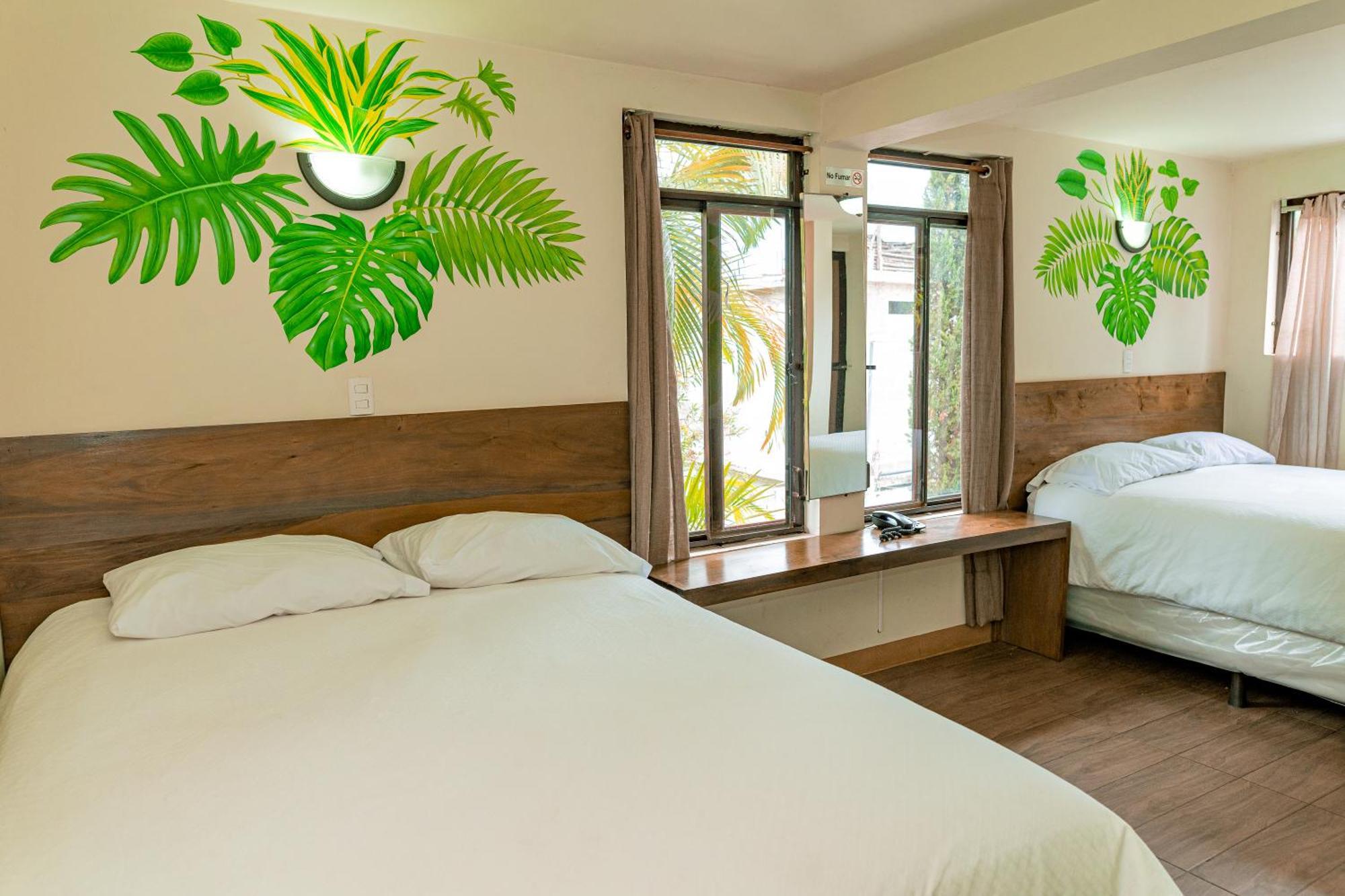 Hotel Ariana ซานเปโดร ลาลากูนา ภายนอก รูปภาพ